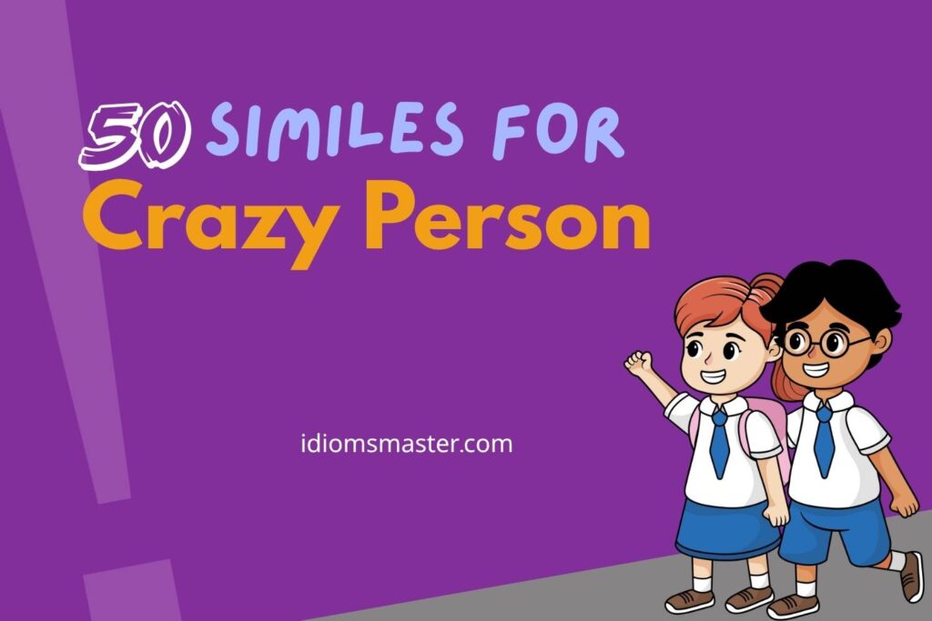 similes for crazy person